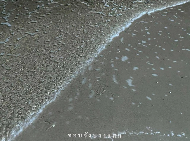 โซเชียลฮือฮา "หาดบางแสน" น้ำทะเลใสแจ๋ว ไขข้อสงสัย ทำไมถึงน้ำใสหน้าหนาว