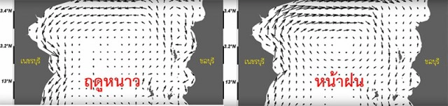 โซเชียลฮือฮา "หาดบางแสน" น้ำทะเลใสแจ๋ว ไขข้อสงสัย ทำไมถึงน้ำใสหน้าหนาว