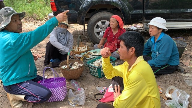 ยังไร้วี่แววเสือในป่าเดินหน้าค้นหาต่อ