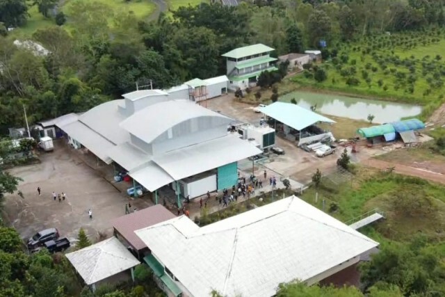 จี้โรงน้ำแข็งรับผิดชอบผลกระทบแอมโมเนียรั่ว