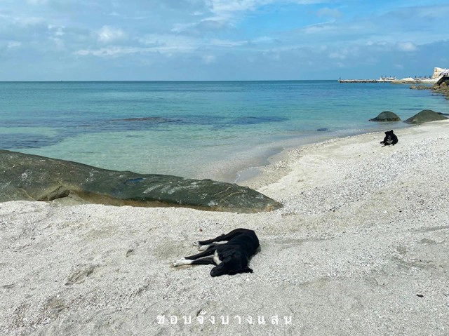 โซเชียลฮือฮา "หาดบางแสน" น้ำทะเลใสแจ๋ว ไขข้อสงสัย ทำไมถึงน้ำใสหน้าหนาว