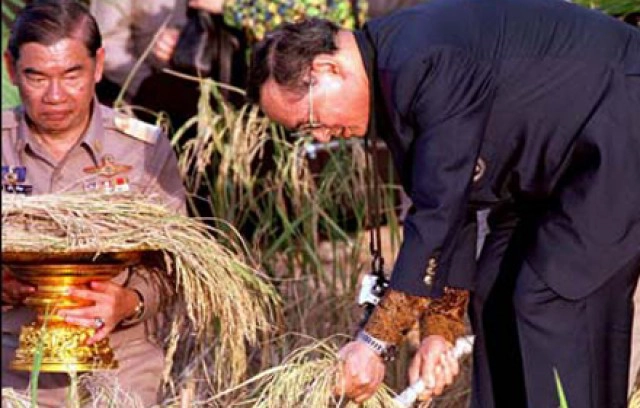 หนึ่งในพระราชกรณียกิจ ตอน "พระบิดาแห่งการวิจัยและพัฒนาข้าวไทย"