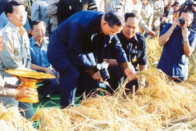 หนึ่งในพระราชกรณียกิจ ตอน "พระบิดาแห่งการวิจัยและพัฒนาข้าวไทย"