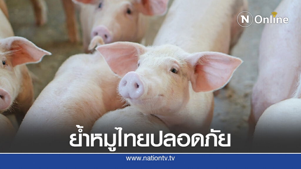 กินเจ-ฝนชุก กระทบราคาหมูช่วงสั้น-ปศุสัตว์ย้ำหมูไทยปลอดภัย