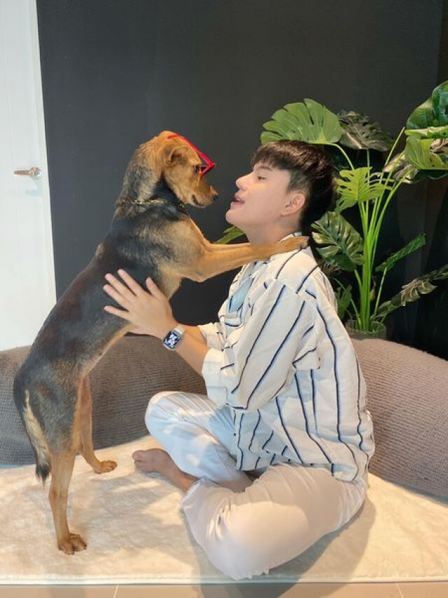 หนุ่มอัพเดท ชีวิตน้องหมาร้านหมูกระทะ หลังเก็บไปเลี้ยง น่ารัก น่าเอ็นดูเวอร์