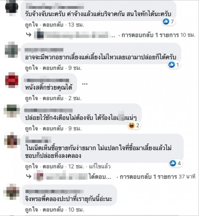 โซเชียลเตือน! อย่าลงเล่นน้ำ หลังพบจระเข้ โผล่คลองประปา'ประชาชื่น'