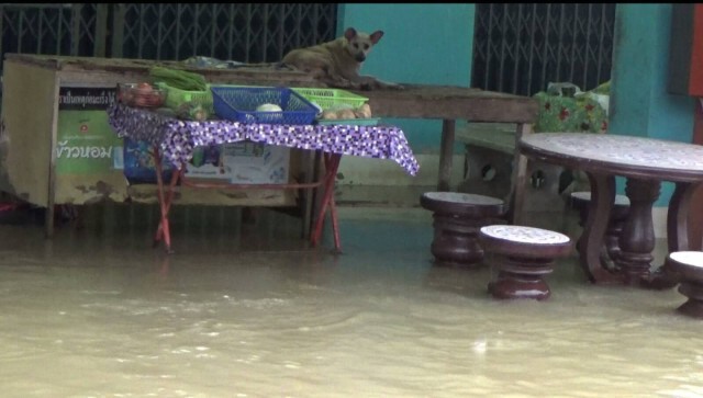 นาทีลมกรรโชกแรง ฝนหนักทำตรังท่วมแล้ว 5 อำเภอ