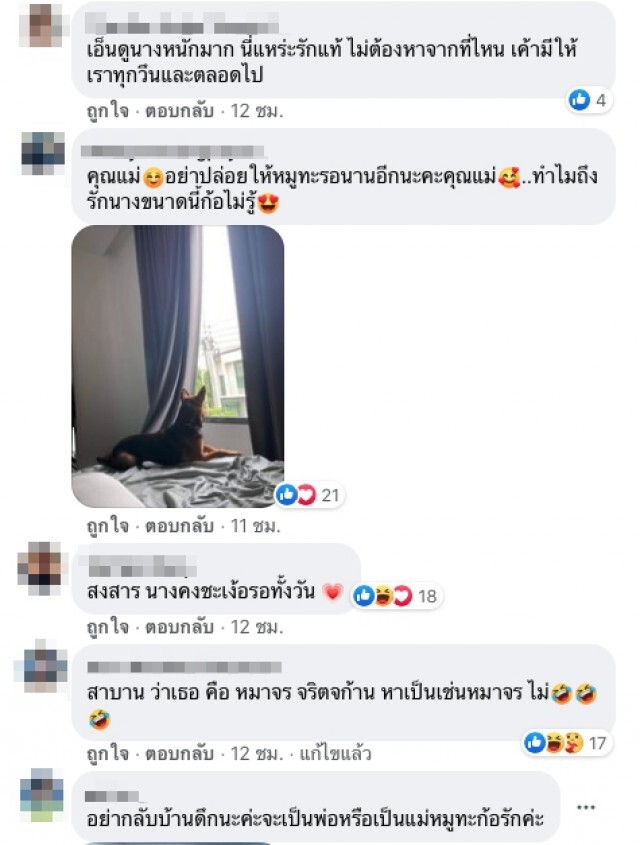 หนุ่มอัพเดท ชีวิตน้องหมาร้านหมูกระทะ หลังเก็บไปเลี้ยง น่ารัก น่าเอ็นดูเวอร์