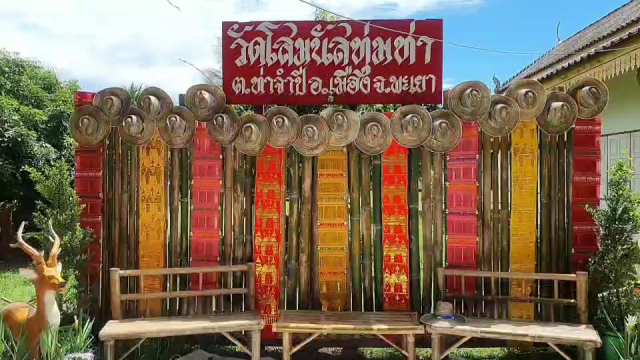 แห่เดิน"ขัวบุญ"-ชมทุ่งปอเทือง ที่วัดโสมนัสทุ่มท่า