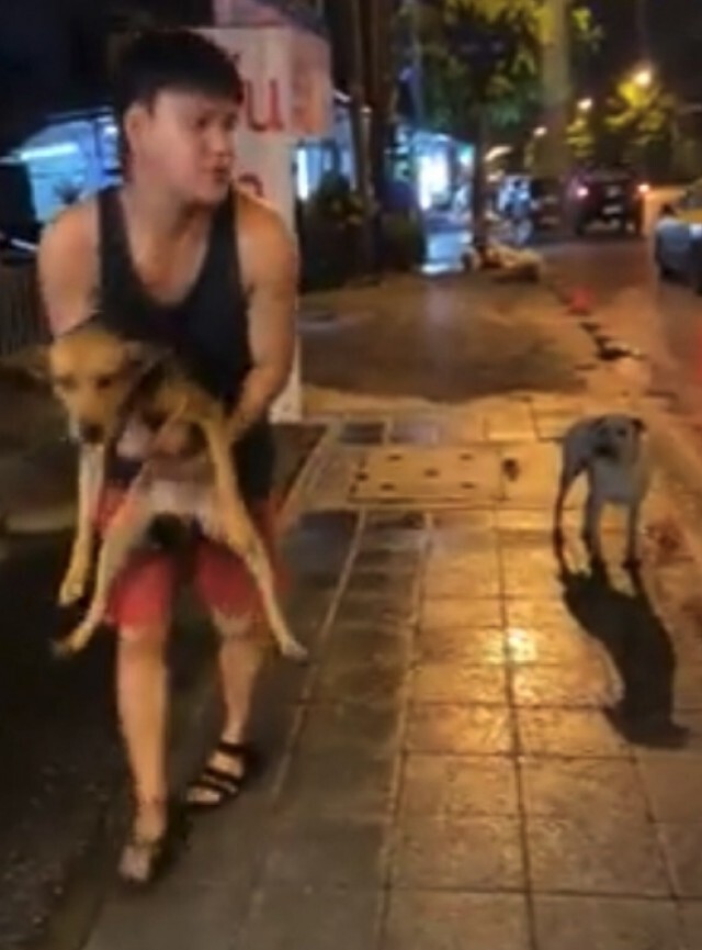 หนุ่มอัพเดท ชีวิตน้องหมาร้านหมูกระทะ หลังเก็บไปเลี้ยง น่ารัก น่าเอ็นดูเวอร์