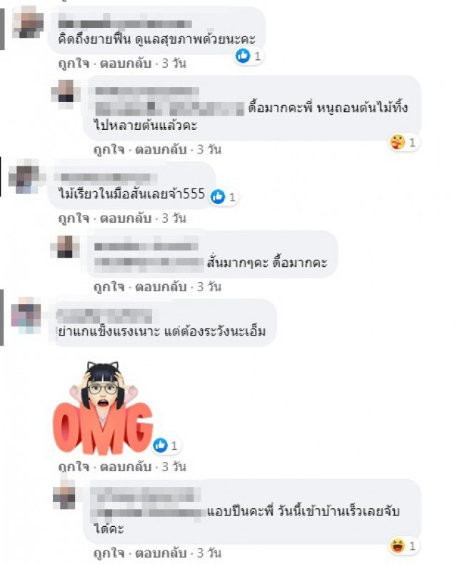 ย่าวัย 78 ยังแจ๋ว นุ่งผ้าถุงปีนต้นไม้สูง หลานงงขึ้นไปได้ไงเอ่ย