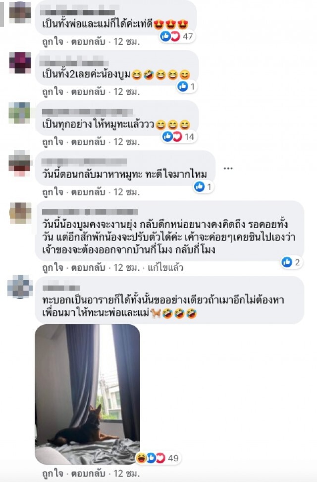 หนุ่มอัพเดท ชีวิตน้องหมาร้านหมูกระทะ หลังเก็บไปเลี้ยง น่ารัก น่าเอ็นดูเวอร์