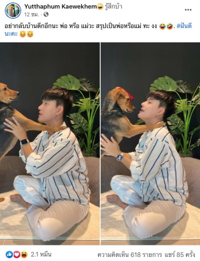 หนุ่มอัพเดท ชีวิตน้องหมาร้านหมูกระทะ หลังเก็บไปเลี้ยง น่ารัก น่าเอ็นดูเวอร์