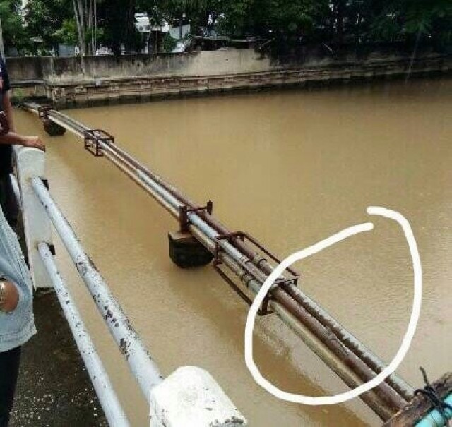 ด่วน! จับจระเข้ในคลองประปาได้แล้ว