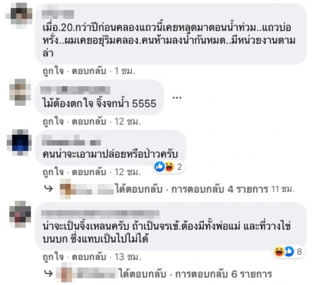โซเชียลเตือน! อย่าลงเล่นน้ำ หลังพบจระเข้ โผล่คลองประปา'ประชาชื่น'