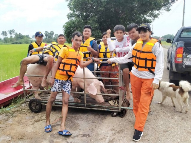 ชาวบ้านยังเดือดร้อนขนสุกรหนีน้ำเขื่อนลำพระเพลิง