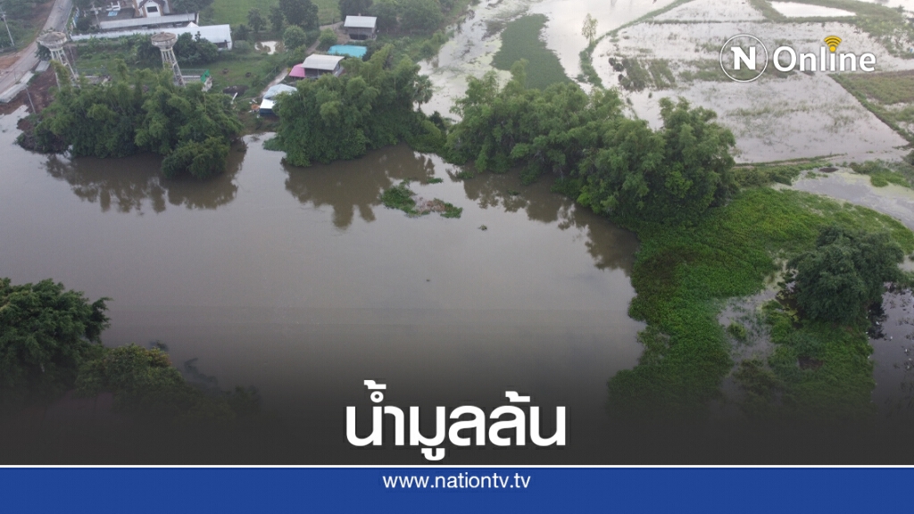น้ำมูลทะลักท่วมนาข้าว หลังเขื่อนพิมายเร่งระบาย น้ำมูลทะลักท่วมนาข้าว หลังเขื่อนพิมายเร่งระบาย