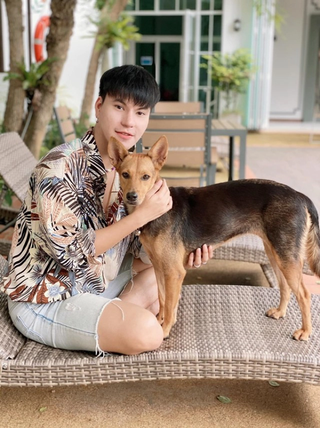 ส่องความสวย "น้องหมูทะ" หมาจรถูกหนุ่มเมาอุ้มกลับบ้าน ราศีจับกลายเป็น "มาดาม"