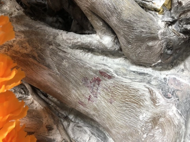 แม่ตะเคียนวัดทุ่งเศรษฐี เฮี้ยนให้เลขเด็ด