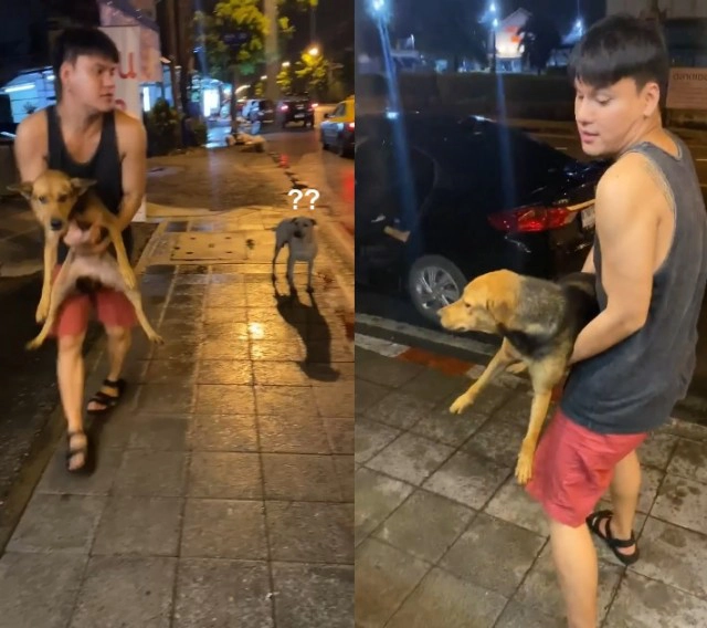ส่องความสวย "น้องหมูทะ" หมาจรถูกหนุ่มเมาอุ้มกลับบ้าน ราศีจับกลายเป็น "มาดาม"