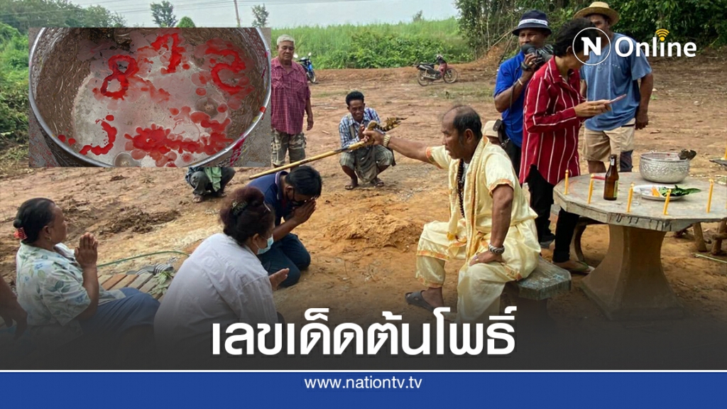 ชาวบ้านแห่ขอเลขเด็ดจากต้นโพธิ์อายุกว่า 100 ปี