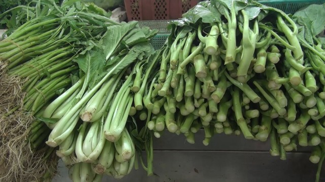 สงขลาผักแพง ปรับขึ้นรับกินเจ ปี 63