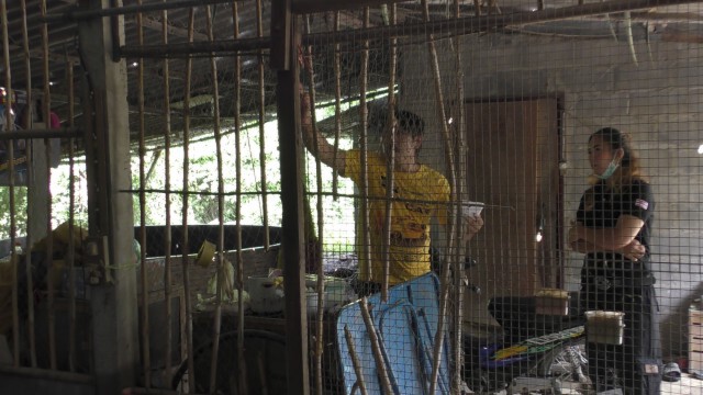 กล้องวงจรปิดจับภาพ กระสือกินไก่ชาวบ้าน