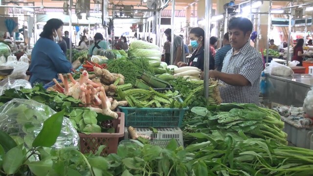 สงขลาผักแพง ปรับขึ้นรับกินเจ ปี 63