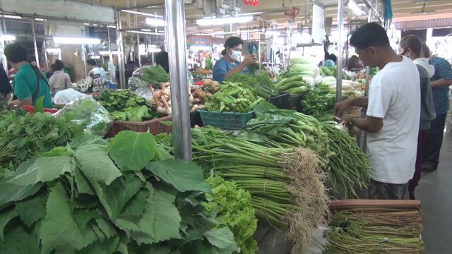 สงขลาผักแพง ปรับขึ้นรับกินเจ ปี 63