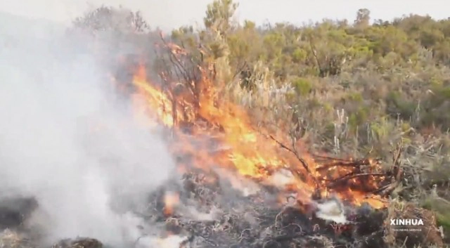 เปิดภาพไฟไหม้ป่า ยอดเขาคิลิมันจาโร 17,500 ไร่