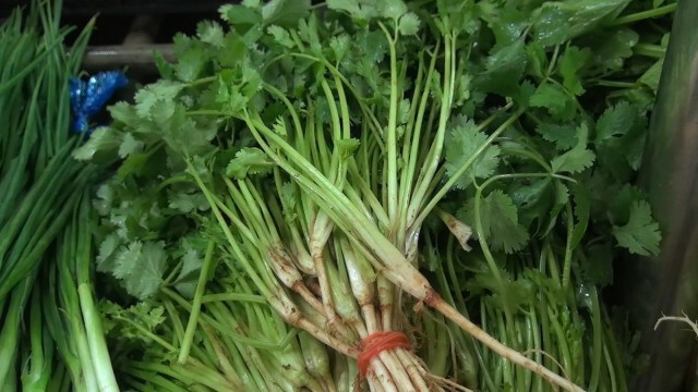 สงขลาผักแพง ปรับขึ้นรับกินเจ ปี 63