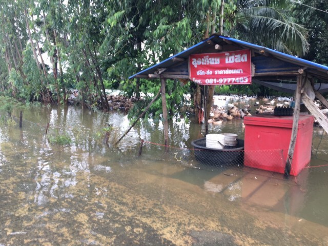 น้ำท่วมโชคชัยวิกฤติ อพยพชาวบ้านป่วยหนีน้ำท่วม