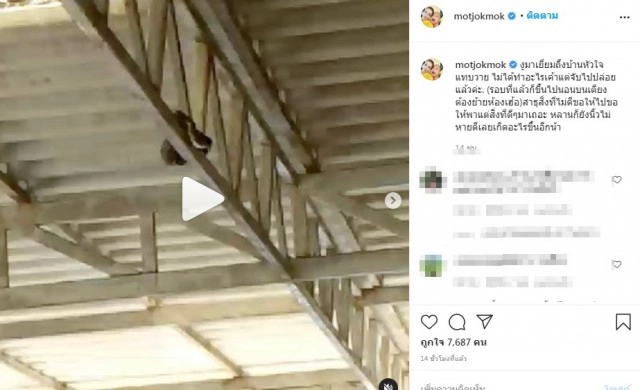 มดภรรยาหม่ำ แทบช็อก งูมาเยี่ยมครั้งที่แล้วโผล่บนเตียง ชาวเน็ตเร่ขอเลขที่บ้าน