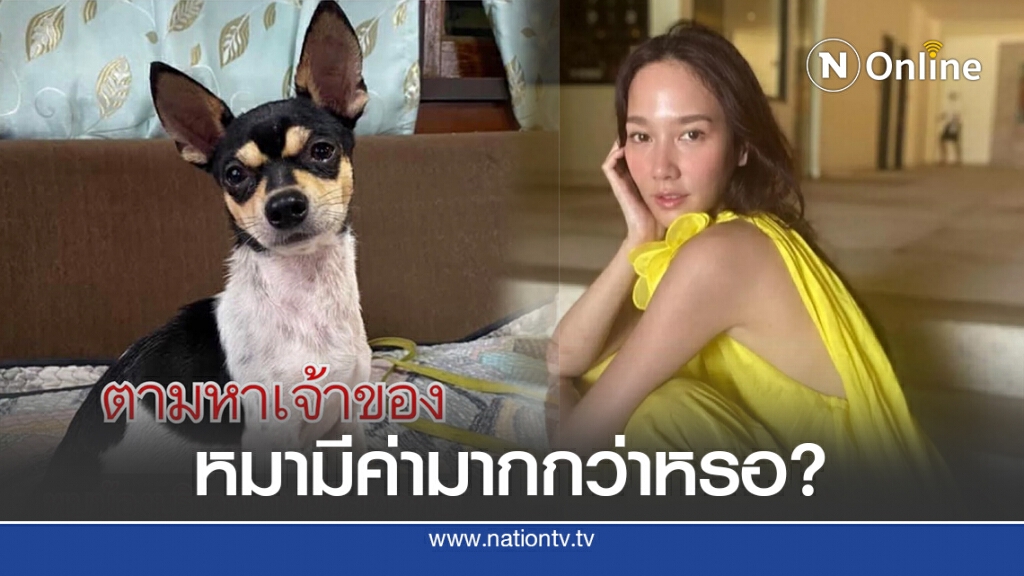 "อั้ม พัชราภา" งานเข้า! โดนม็อบถล่มไอจีรัว ถามหมามีค่ามากกว่าหรอคะ
