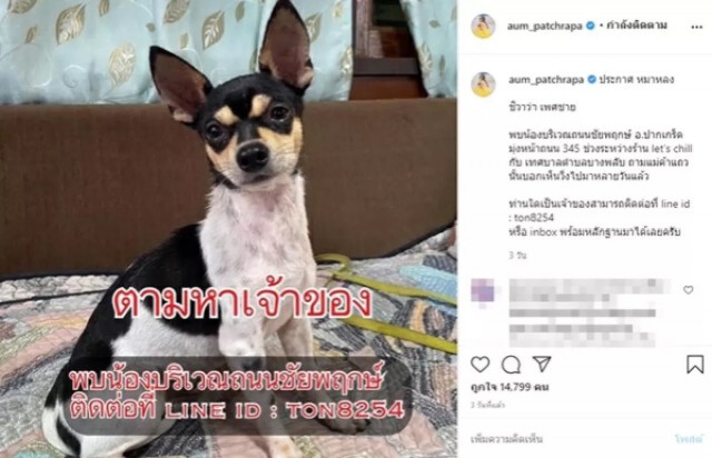 "อั้ม พัชราภา" งานเข้า! โดนม็อบถล่มไอจีรัว ถามหมามีค่ามากกว่าหรอคะ