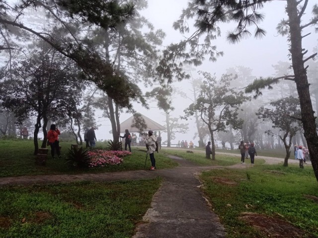 ปลายฝนต้นหนาว นทท.แห่ชมทะเลหมอกยอดภูเรือ