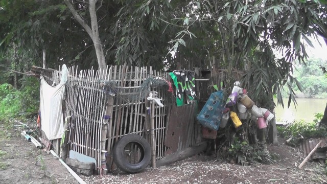 งูเหลือมเลื้อย-เขมือบไก่ชนยกเล้า