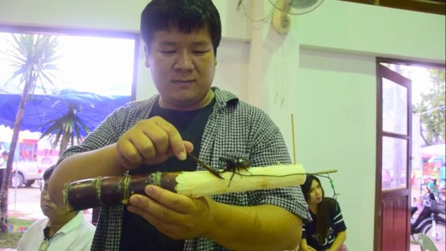 จัดยิ่งใหญ่ เทศกาลโลกของกว่างนักสู้แห่งขุนเขา