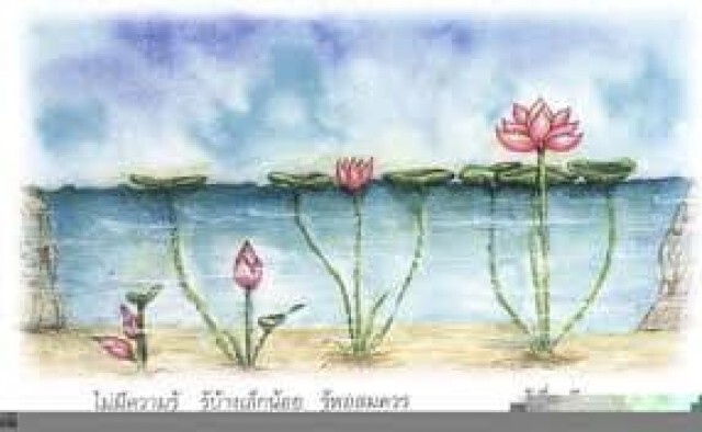 "หมอพรทิพย์" เคลื่อนไหว เป็นกำลังใจให้ทุกคน เชื่อจะผ่านจุดนี้ไปได้