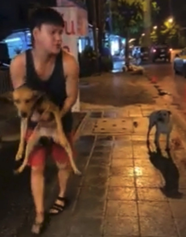 ส่องความปัง หมาถูกหนุ่มเมาอุ้มจากร้านหมูกระทะกลับบ้าน ชีวิตพลิกจากดินสู่ดาว