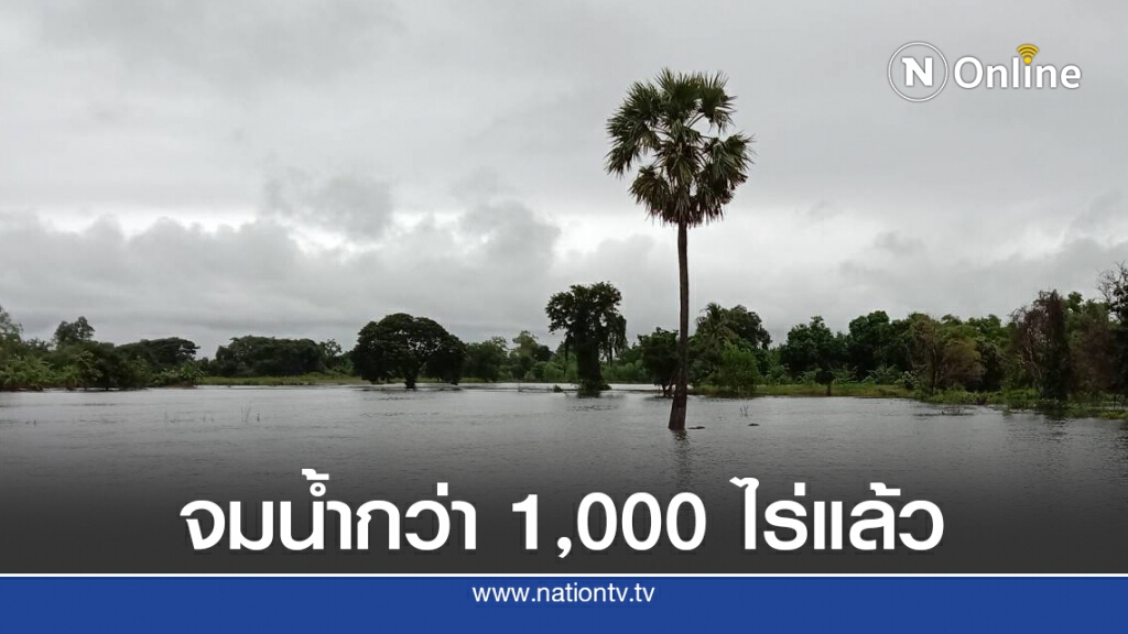 ปักธงแดง เตือน พิมายมวลน้ำใกล้มหาอุทกภัย 2553 ปักธงแดง เตือน พิมายมวลน้ำใกล้มหาอุทกภัย 2553