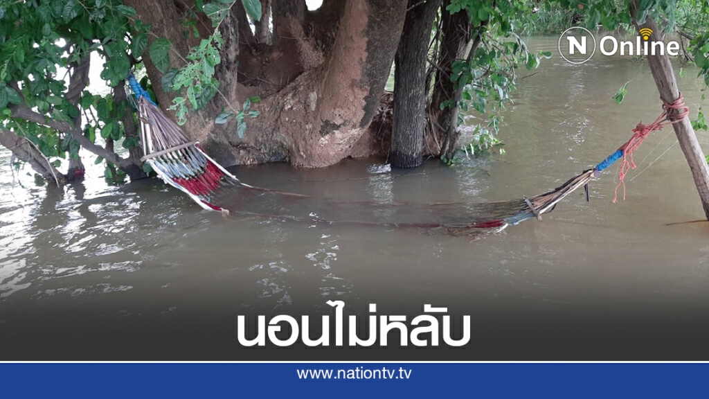ชาวพิมายเฝ้าระวังท่วมฉับพลันกลัวสัตว์อันตรายมากับน้ำ