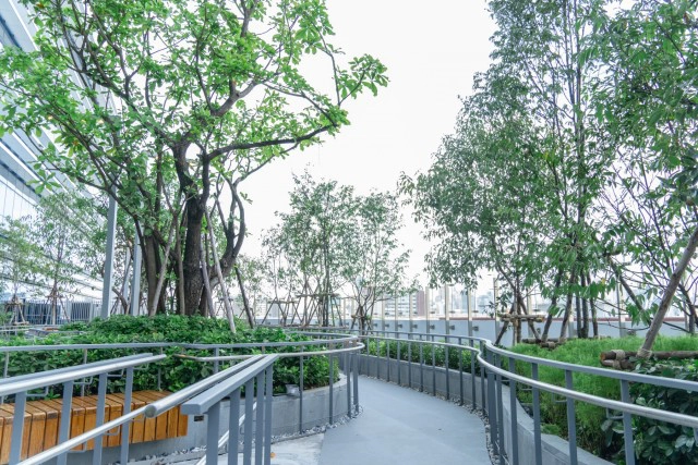 'ทีพีพี เฮลท์แคร์ฯ' ทุ่ม 7 พันล้าน ปั้น 'เมดพาร์ค' ศูนย์กลางบริการการแพทย์เฉพาะทาง