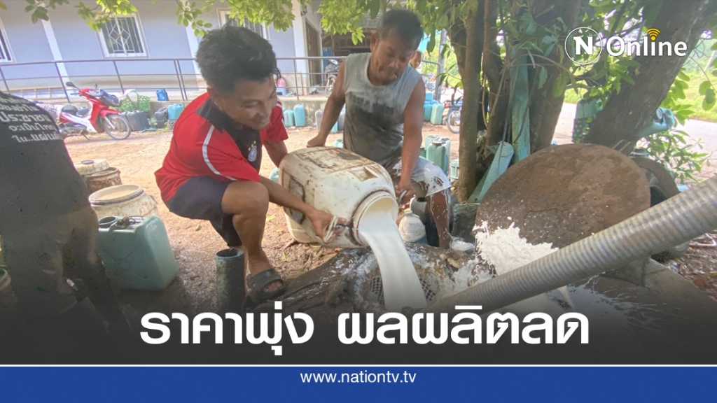 น้ำยางสดราคาทะลุ 61.80 บาท