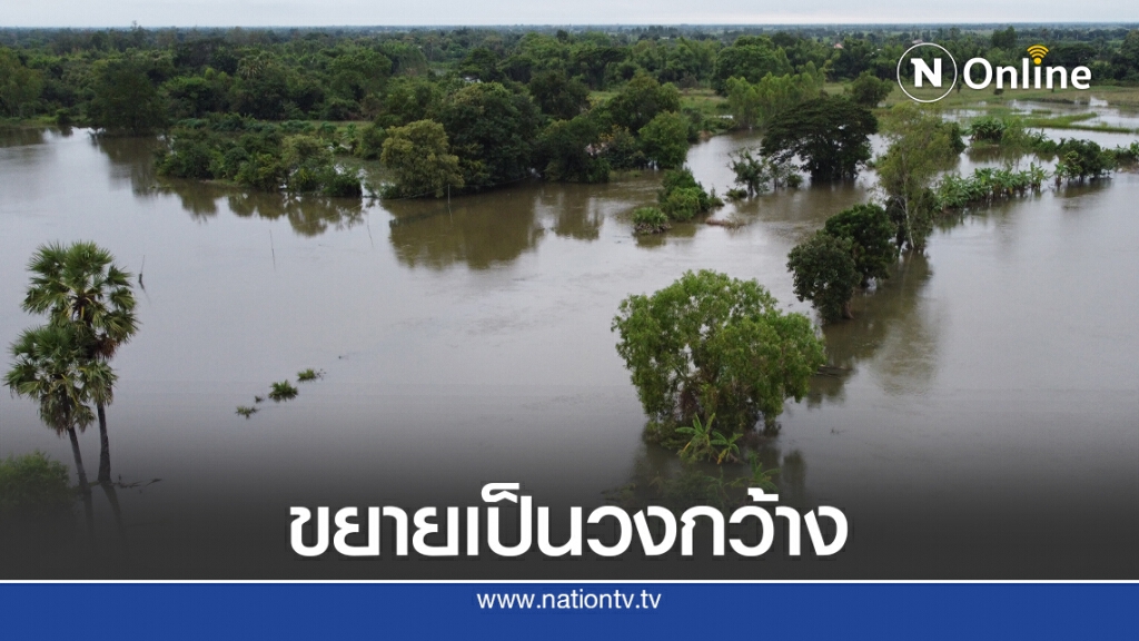 น้ำท่วมนาข้าวท้ายเขื่อนพิมายขยายเป็นวงกว้าง น้ำท่วมนาข้าวท้ายเขื่อนพิมายขยายเป็นวงกว้าง