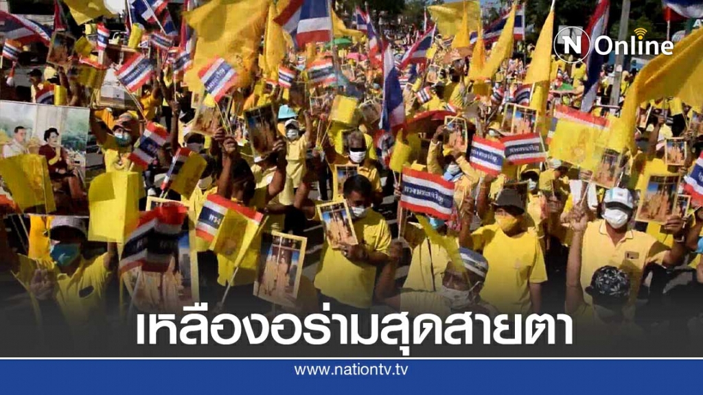 เหลืองอร่ามสุดสายตาที่จ.นราธิวาสใต้สุดแดนสยาม