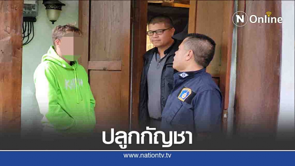 บุกจับนักมวยเยอรมัน-ปลูกกัญชาขายออนไลน์ บุกจับนักมวยเยอรมัน-ปลูกกัญชาขายออนไลน์