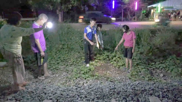 ชาวลำพูนตื่นรูปปั้นช้าง-แห่ขอเลขเด็ด