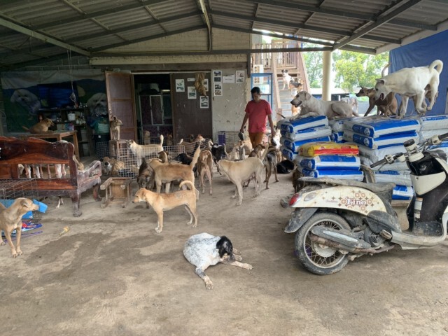 ชาวบ้านหมู่บ้านเพียงพอกว่า 50 หลังคาเรือน เดือดร้อนน้ำฝนเอ่อท่วมบ้าน