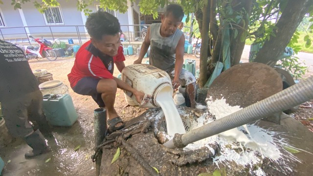 น้ำยางสดราคาทะลุ 61.80 บาท